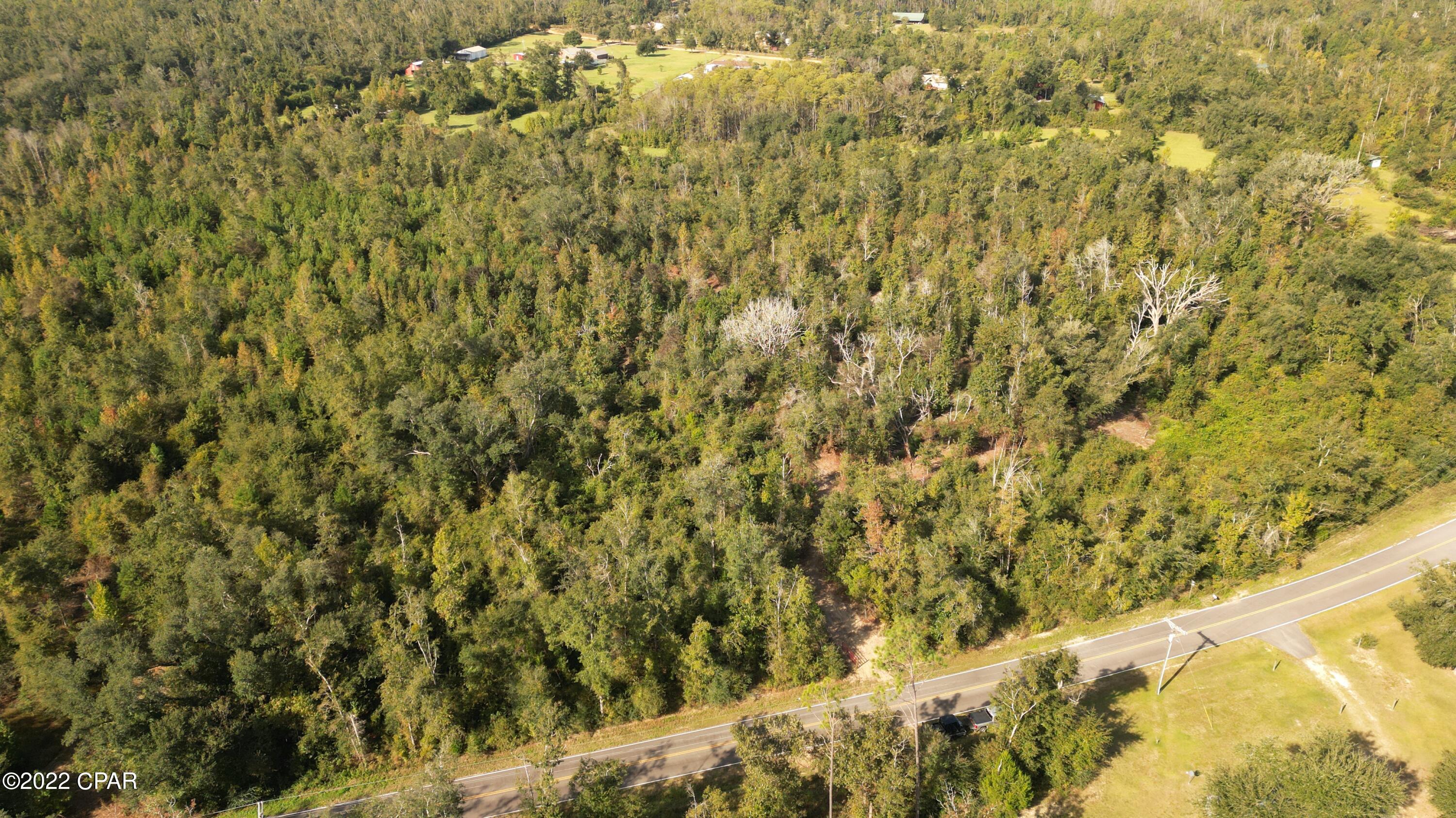 0 Bethlehem Road Cottondale, FL 32431 - Photo 5 of 24