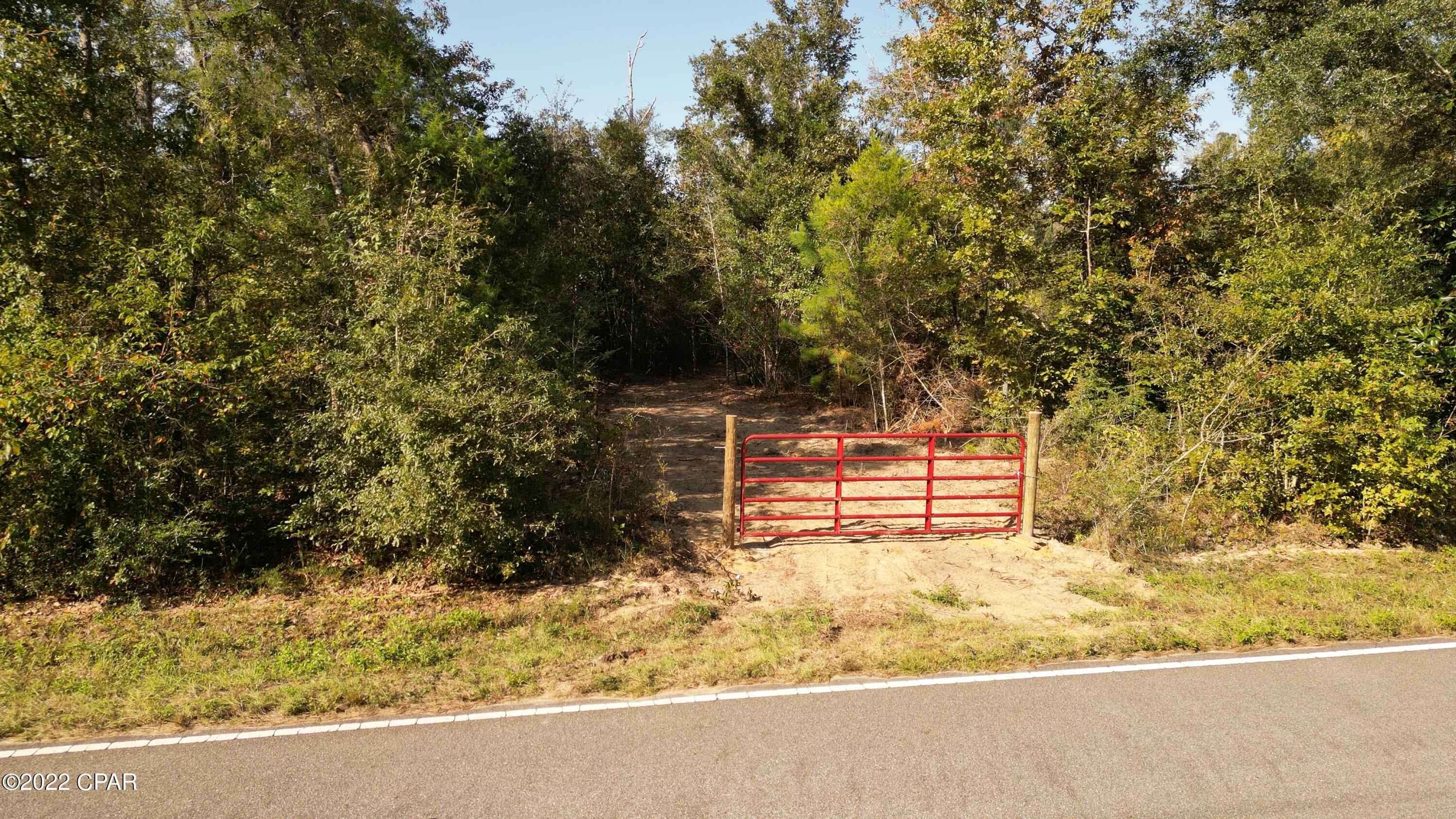 0 Bethlehem Road Cottondale, FL 32431 - Photo 6 of 24