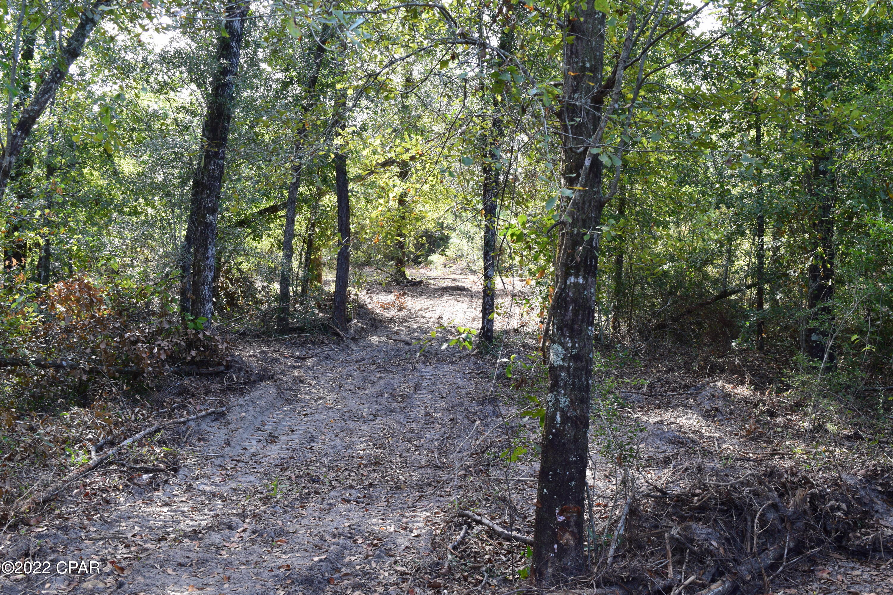 0 Bethlehem Road Cottondale, FL 32431 - Photo 7 of 24