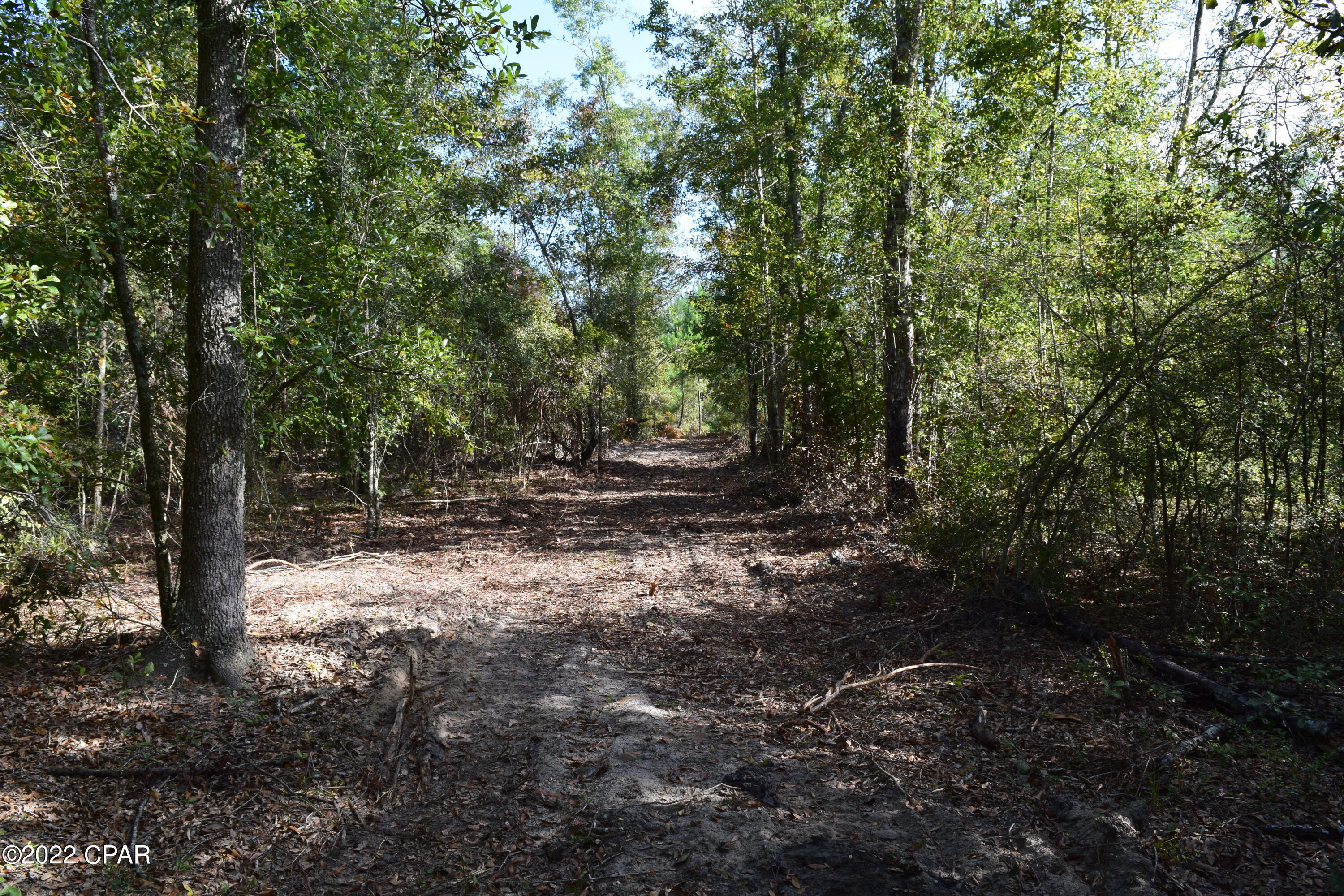 0 Bethlehem Road Cottondale, FL 32431 - Photo 8 of 24