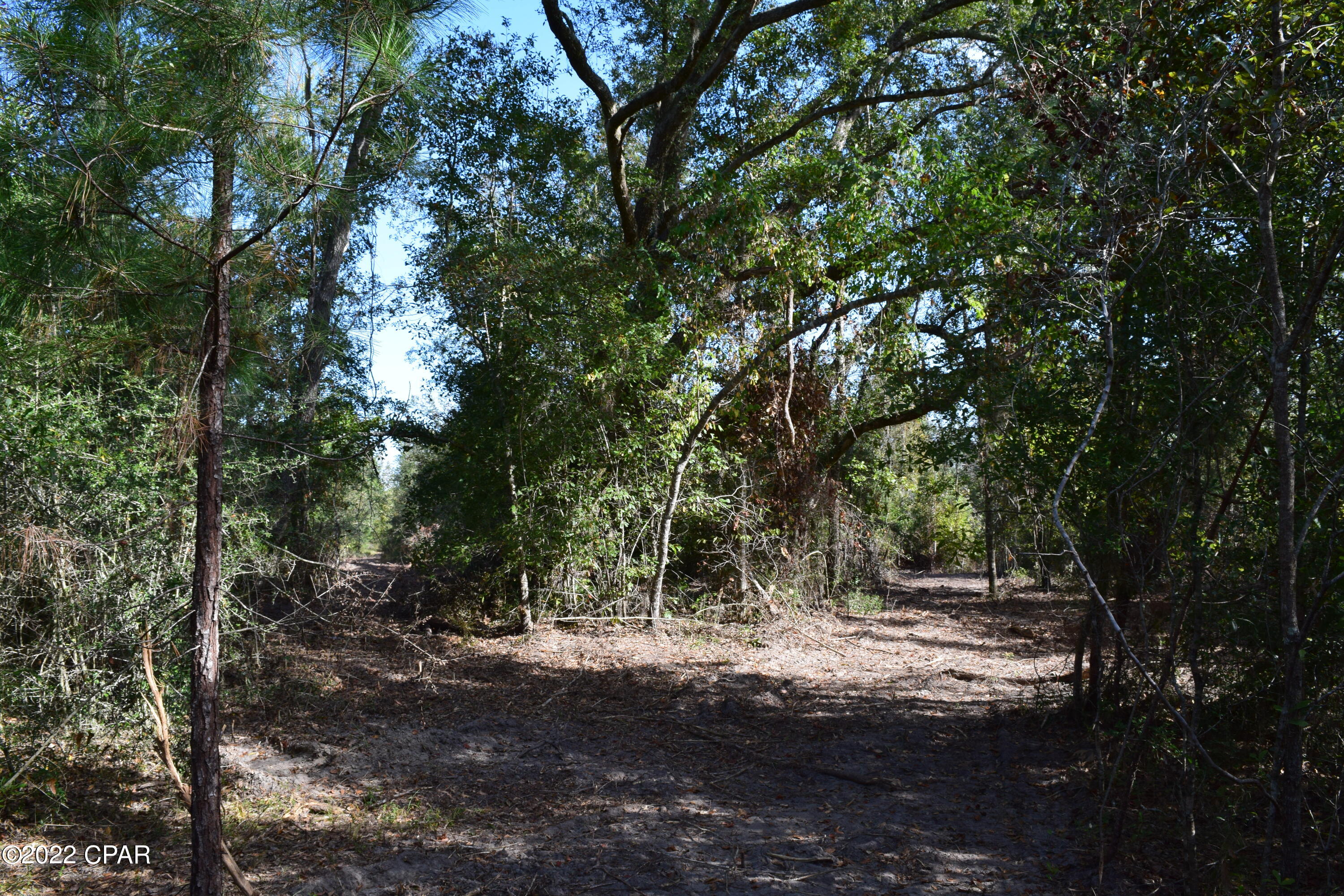 0 Bethlehem Road Cottondale, FL 32431 - Photo 9 of 24