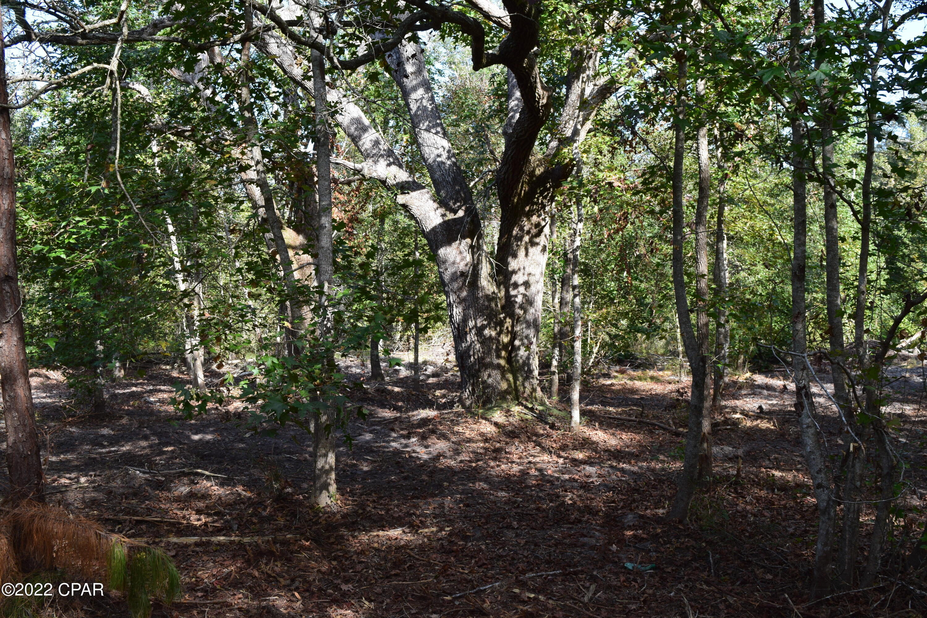 0 Bethlehem Road Cottondale, FL 32431 - Photo 10 of 24