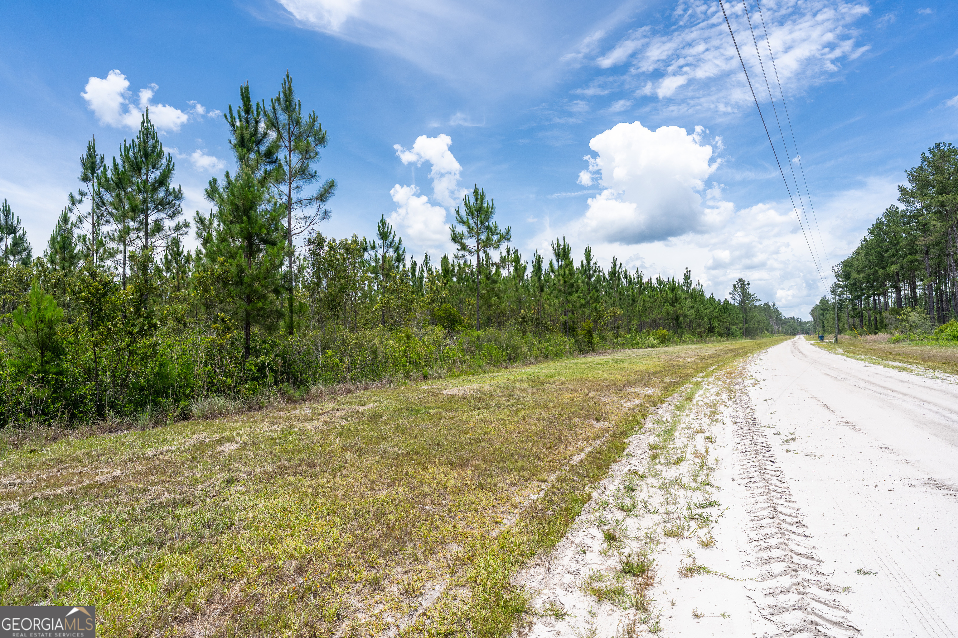 Lot 120 South Farms Edge Road Manor, GA 31550 - Photo 10 of 12