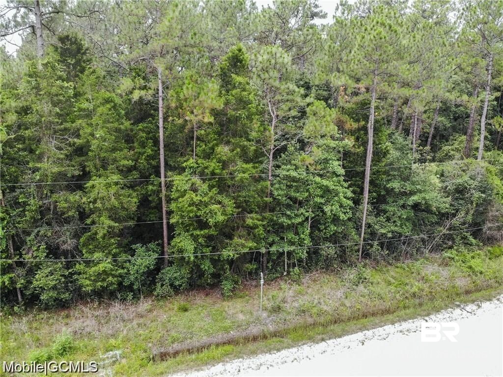 0 Bass Drive Theodore, AL 36582 - Photo 4 of 15