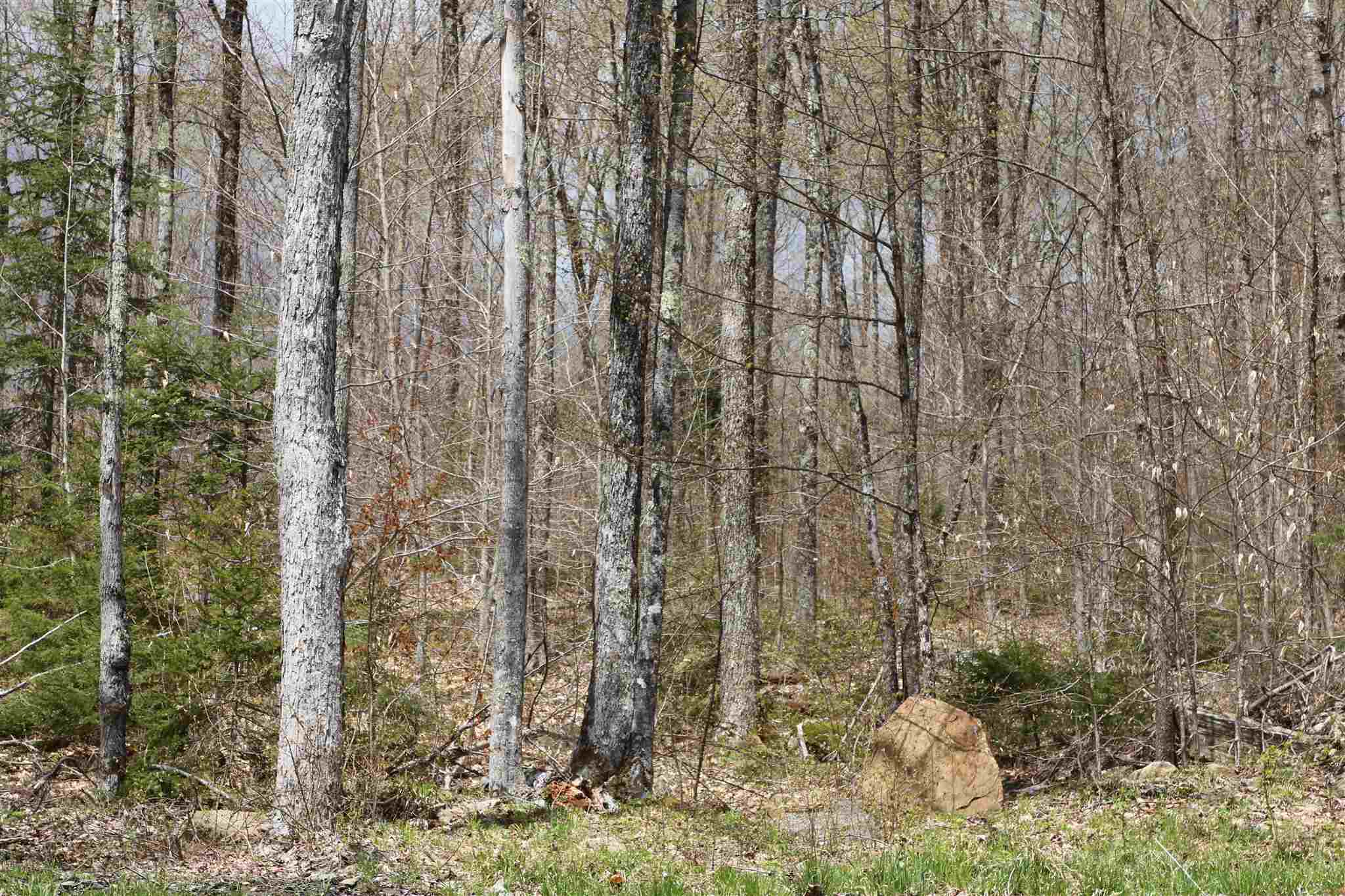 0 Chateauguay Road Woodstock, VT 05091 - Photo 4 of 13