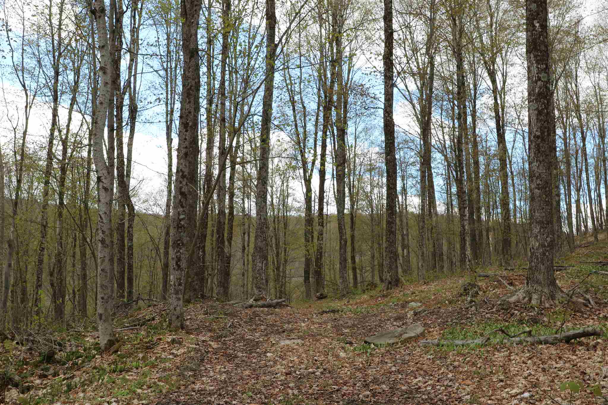 0 Chateauguay Road Woodstock, VT 05091 - Photo 5 of 13