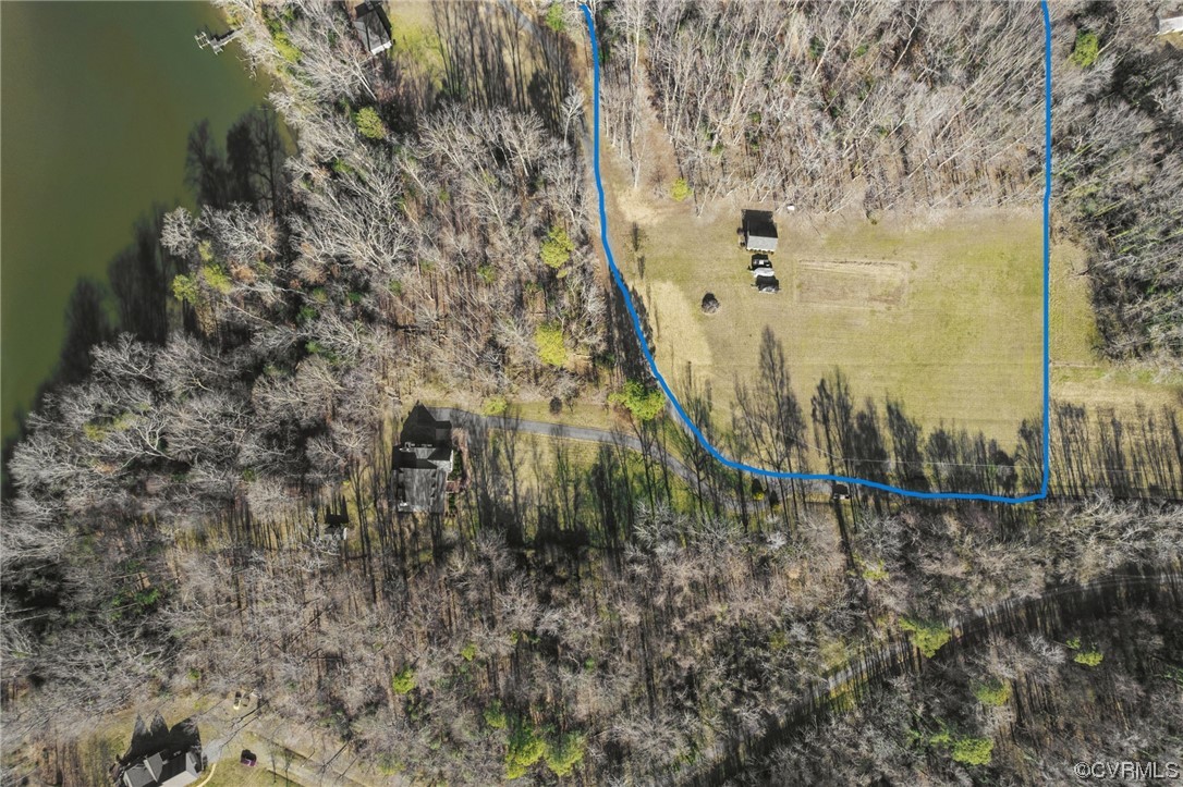 a view of a dry yard with large trees