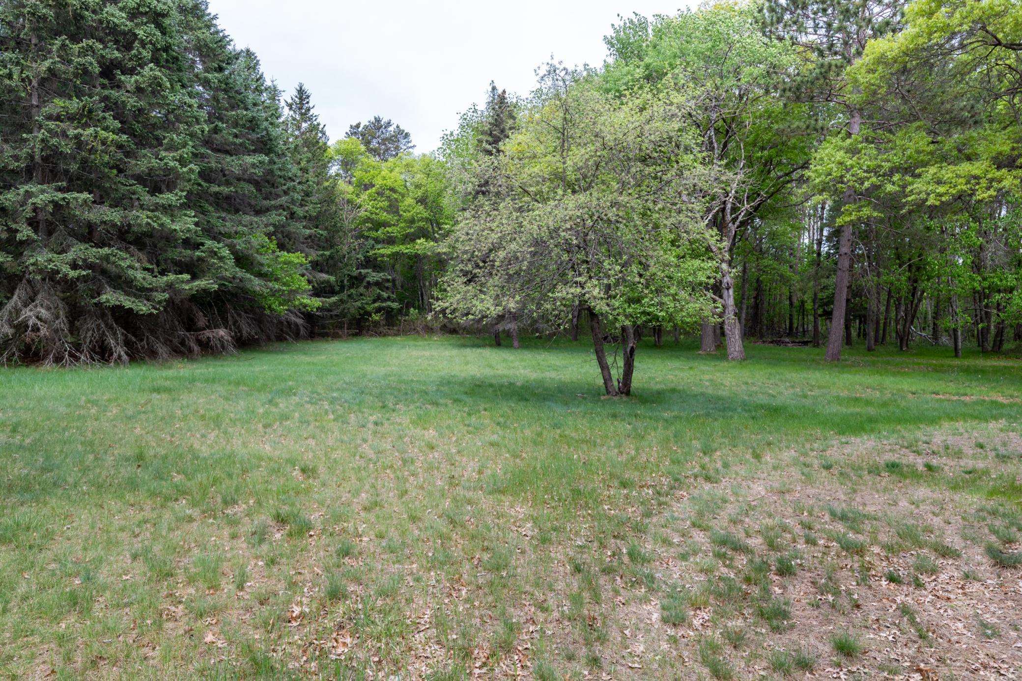 5394 Clearwater Road North Baxter, MN 56425 - Photo 12 of 15