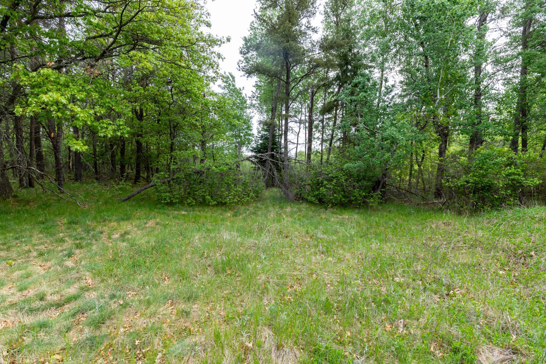 5394 Clearwater Road North Baxter, MN 56425 - Photo 8 of 15