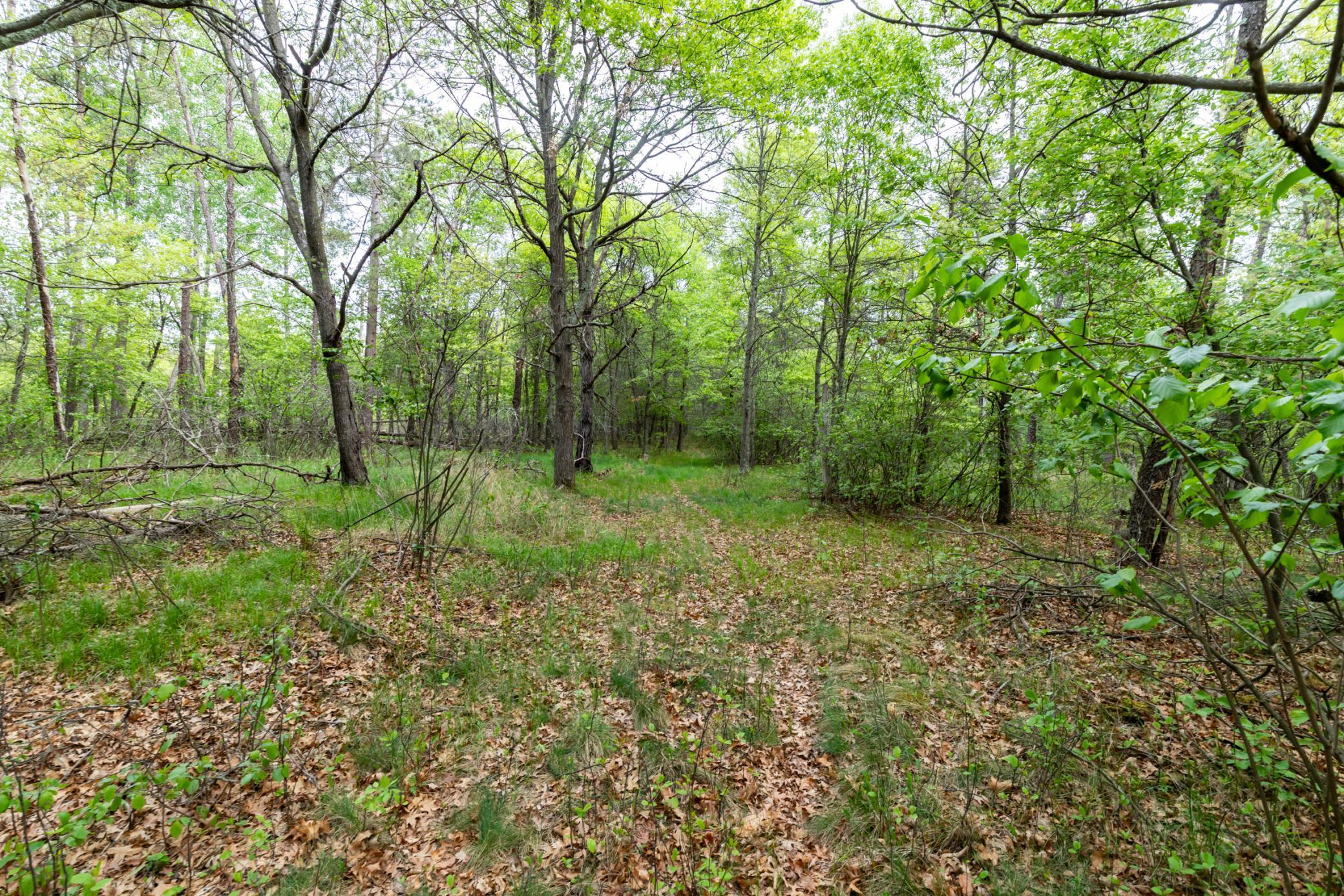 5394 Clearwater Road North Baxter, MN 56425 - Photo 9 of 15