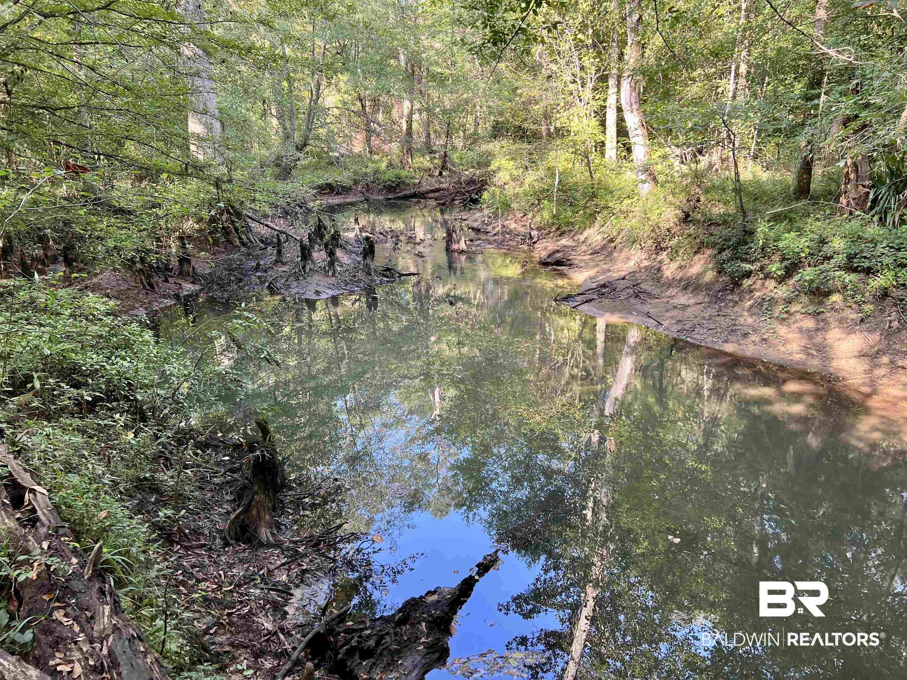 0 County Road 11 Repton, AL 36475 - Photo 1 of 34