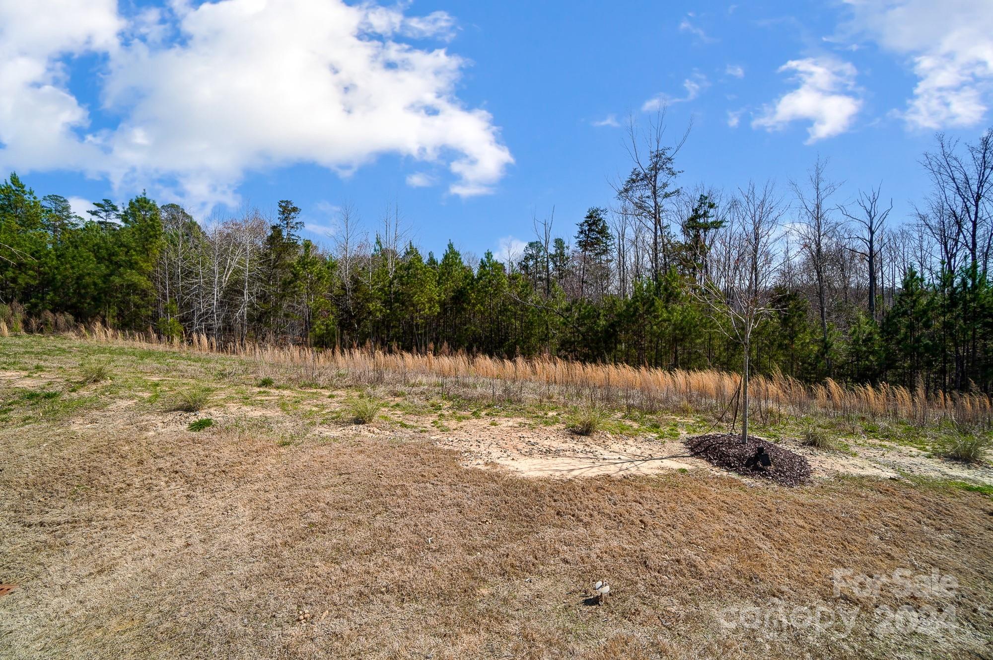 2059 Suttonview Road Fort Mill, SC 29708 - Photo 44 of 44 a view of outdoor space with trees
