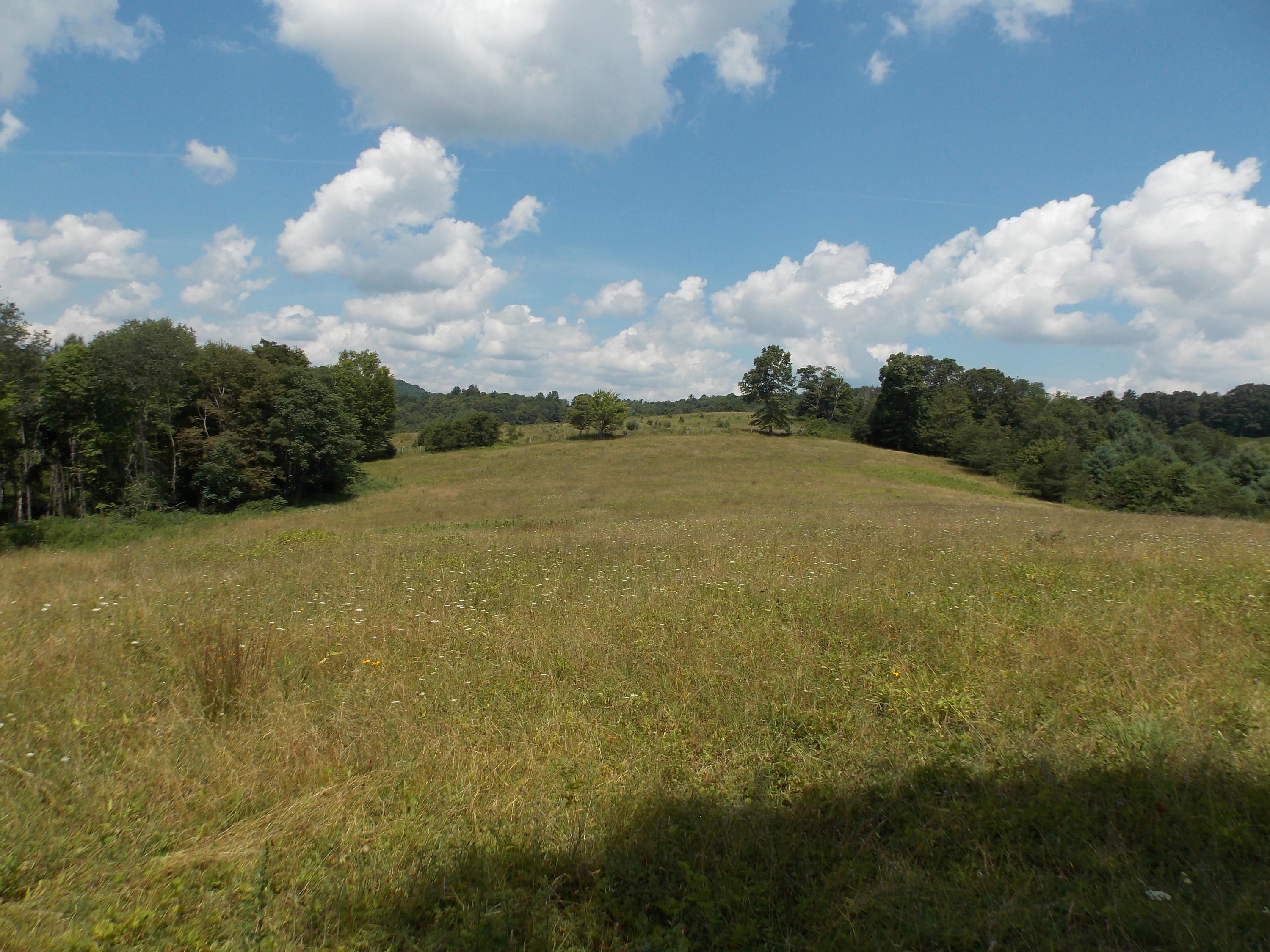 223 Weddle Road Southwest Willis, VA 24380 - Photo 1 of 47 a view of an ocean