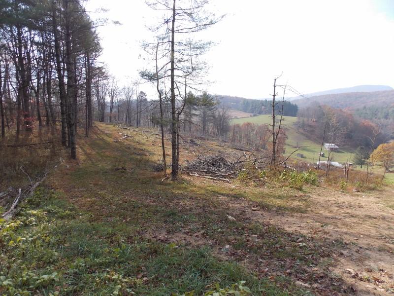 223 Weddle Road Southwest Willis, VA 24380 - Photo 12 of 47 a view of a yard with a tree