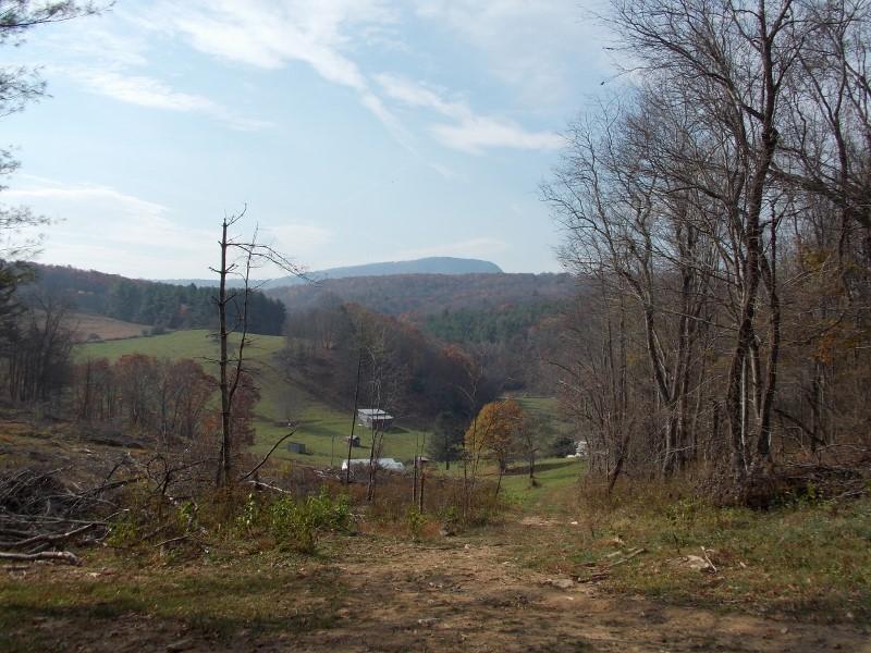 223 Weddle Road Southwest Willis, VA 24380 - Photo 13 of 47 a backyard of a house
