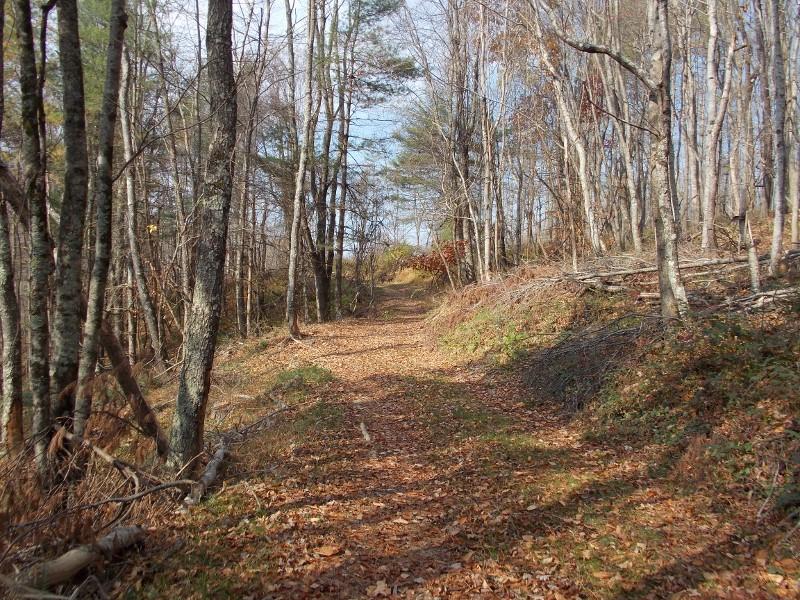 223 Weddle Road Southwest Willis, VA 24380 - Photo 15 of 47 a view of yard