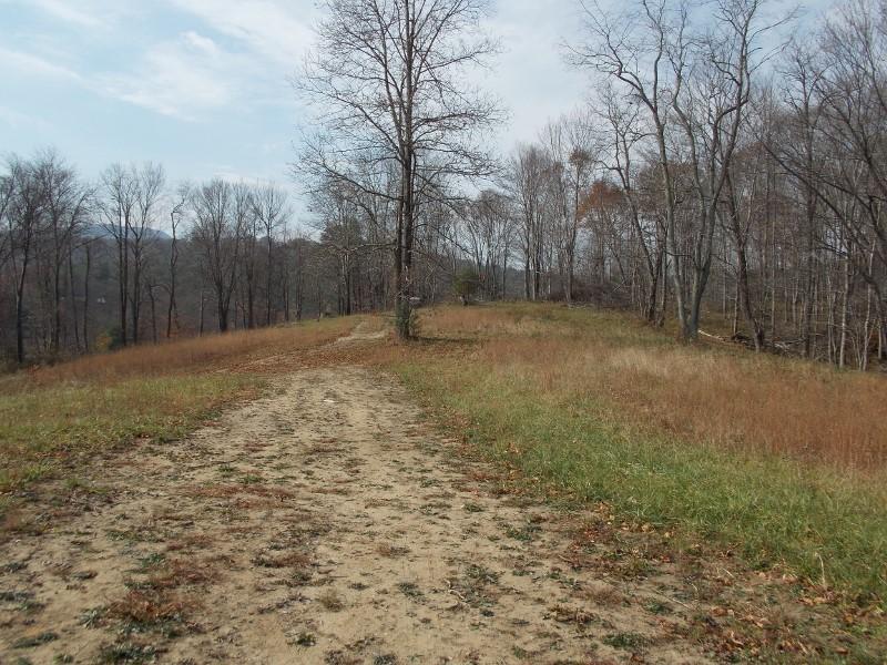 223 Weddle Road Southwest Willis, VA 24380 - Photo 17 of 47 a view of a yard with trees
