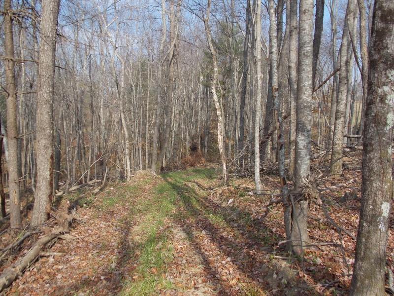 223 Weddle Road Southwest Willis, VA 24380 - Photo 18 of 47 a view of wooden fence