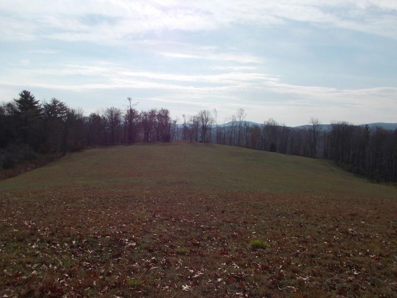 223 Weddle Road Southwest Willis, VA 24380 - Photo 20 of 47 a view of a green field
