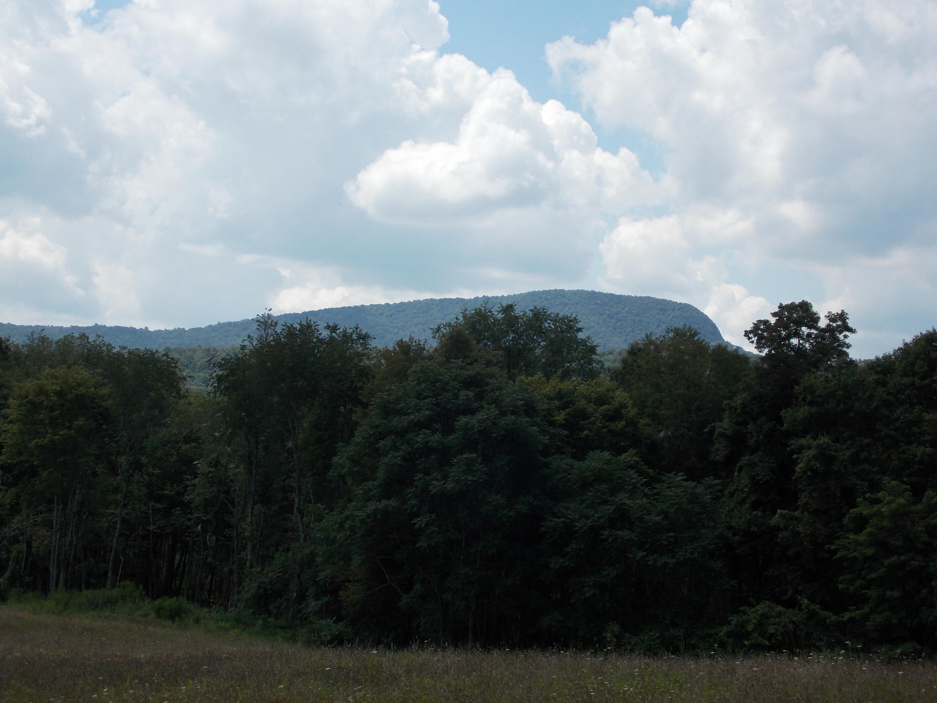 223 Weddle Road Southwest Willis, VA 24380 - Photo 2 of 47 a view of city and green space