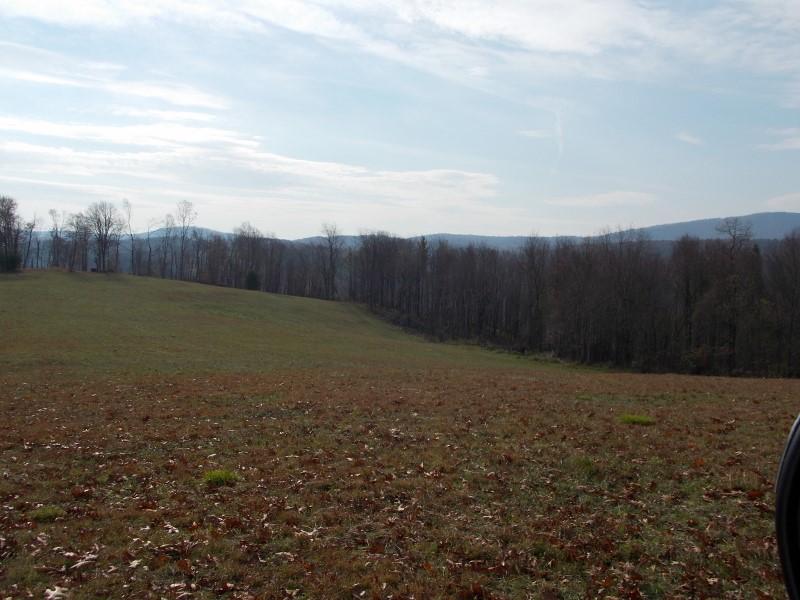 223 Weddle Road Southwest Willis, VA 24380 - Photo 21 of 47 a view of a field with trees in background