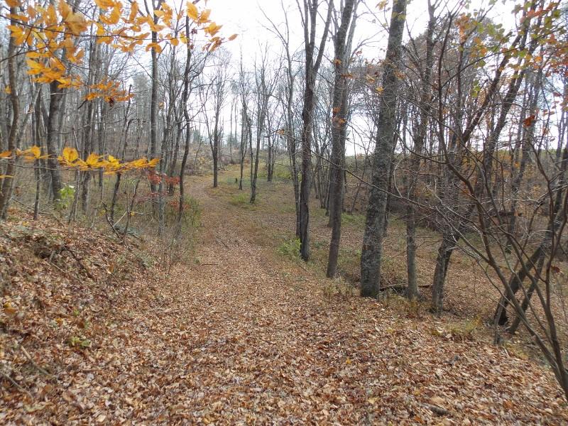 223 Weddle Road Southwest Willis, VA 24380 - Photo 24 of 47 a backyard of a house with lots of green space