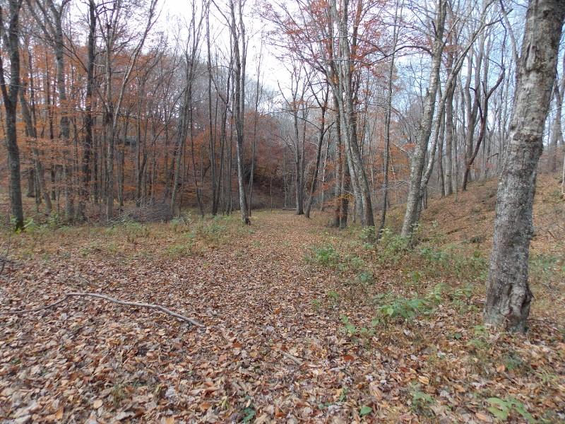223 Weddle Road Southwest Willis, VA 24380 - Photo 25 of 47 a backyard of a house with lots of green space