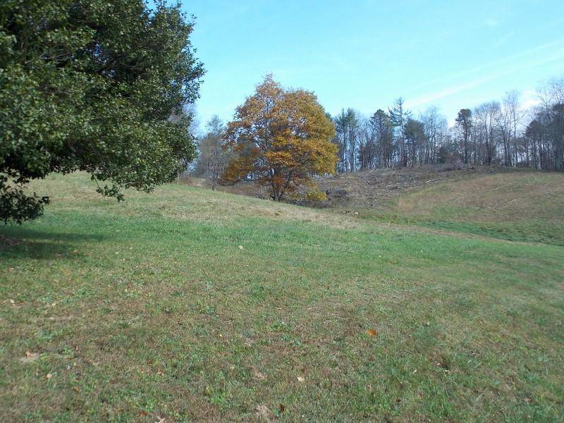 223 Weddle Road Southwest Willis, VA 24380 - Photo 36 of 47 a view of a field with trees in the background