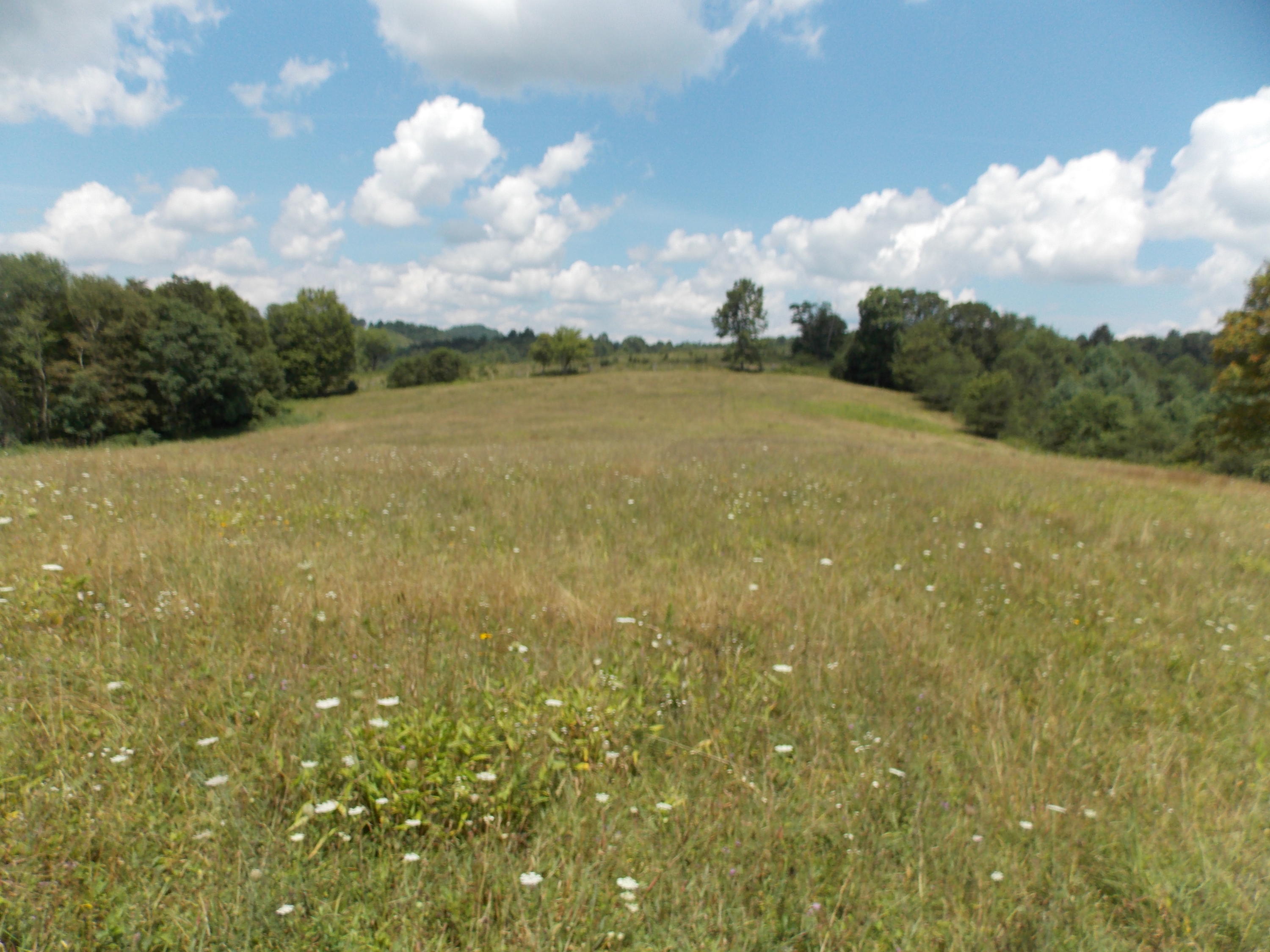 223 Weddle Road Southwest Willis, VA 24380 - Photo 4 of 47 a view of lake view and mountain view