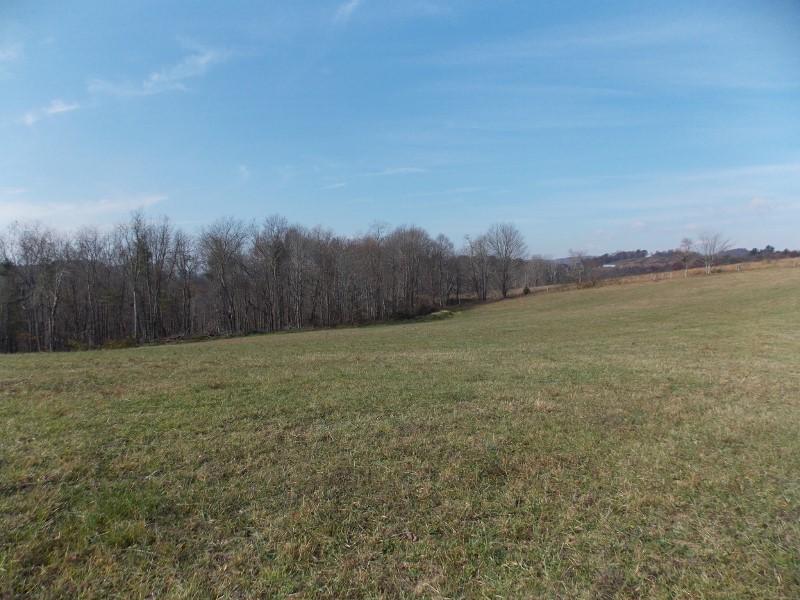 223 Weddle Road Southwest Willis, VA 24380 - Photo 42 of 47 a view of a field with ocean view