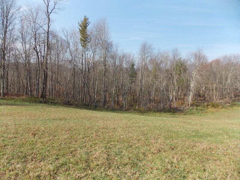 223 Weddle Road Southwest Willis, VA 24380 - Photo 47 of 47 a view of a yard with trees