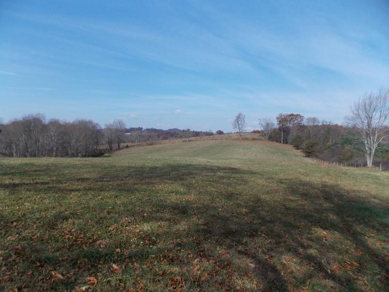 223 Weddle Road Southwest Willis, VA 24380 - Photo 5 of 47 a view of an outdoor space with mountain view