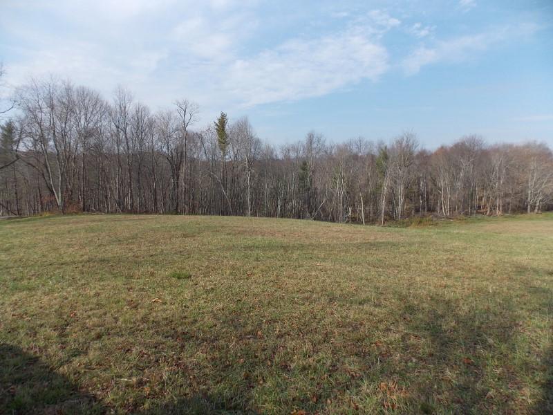 223 Weddle Road Southwest Willis, VA 24380 - Photo 6 of 47 a view of a field with trees in the background