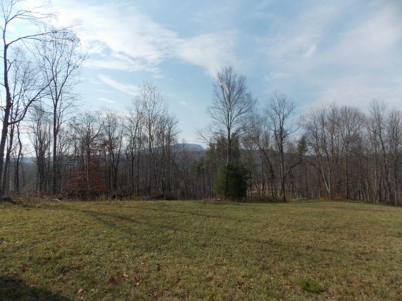 223 Weddle Road Southwest Willis, VA 24380 - Photo 7 of 47 a view of outdoor space with green field