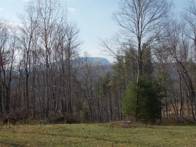 223 Weddle Road Southwest Willis, VA 24380 - Photo 8 of 47 a view of a backyard