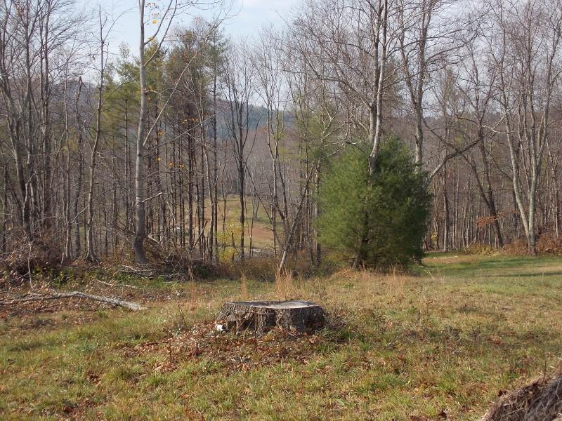 223 Weddle Road Southwest Willis, VA 24380 - Photo 10 of 47 a backyard of a house with lots of green space