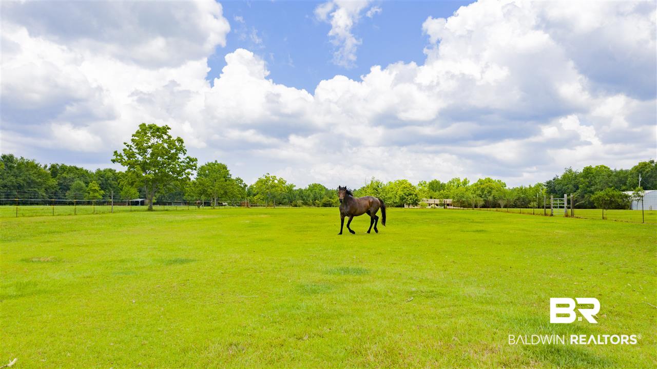 16749 Old Pierce Road Fairhope, AL 36532 - Photo 11 of 48