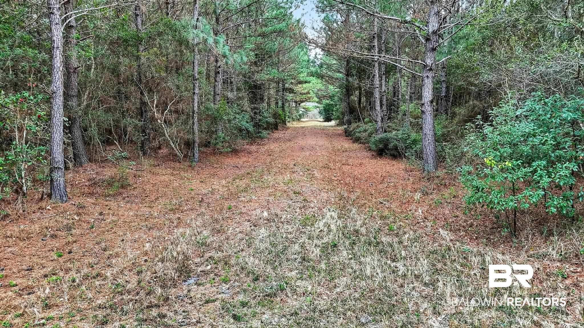 0 Hemley Road Bayou La Batre, AL 36509 - Photo 17 of 28