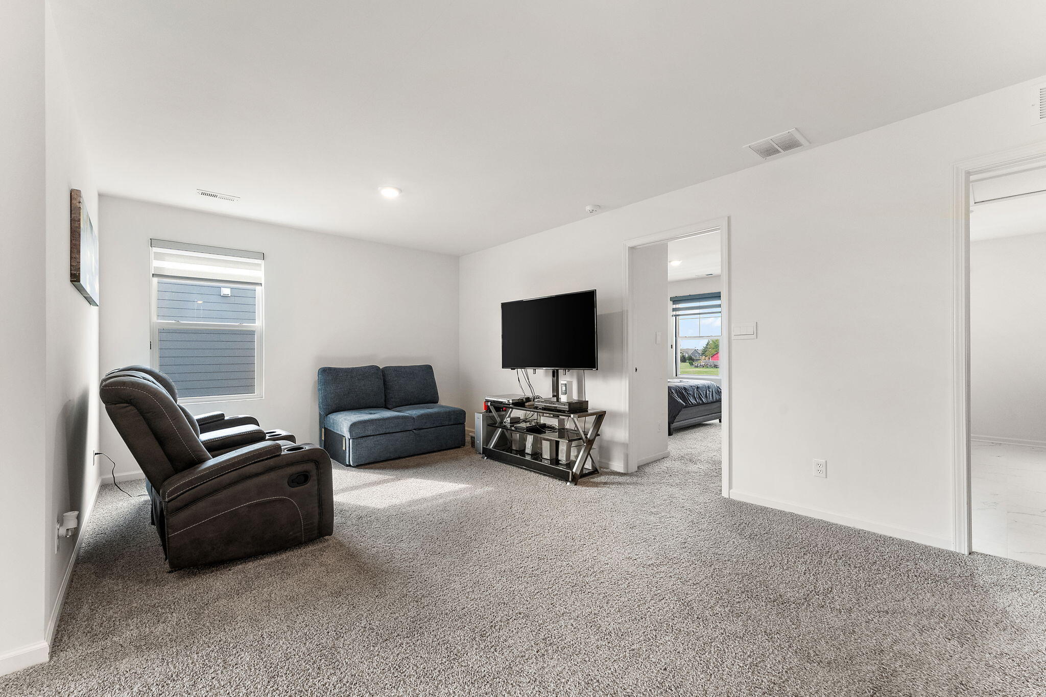 10453 Privet Drive Crown Point, IN 46307 - Photo 20 of 38 a living room with furniture and a flat screen tv