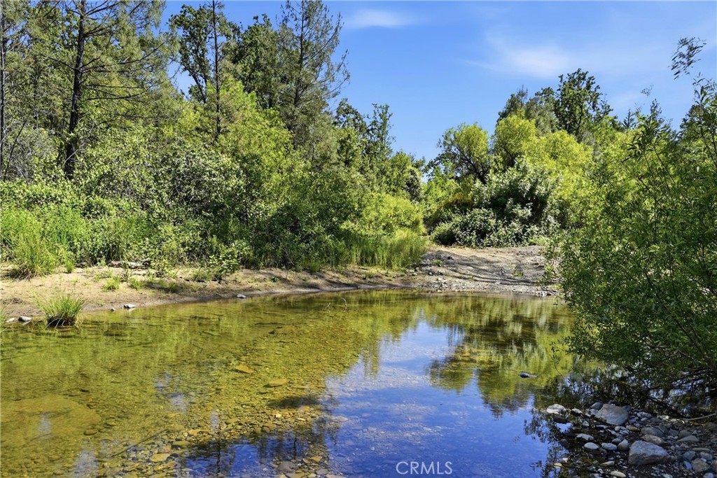 22550 Shady Grove Road Middletown, CA 95461 - Photo 46 of 68 creek