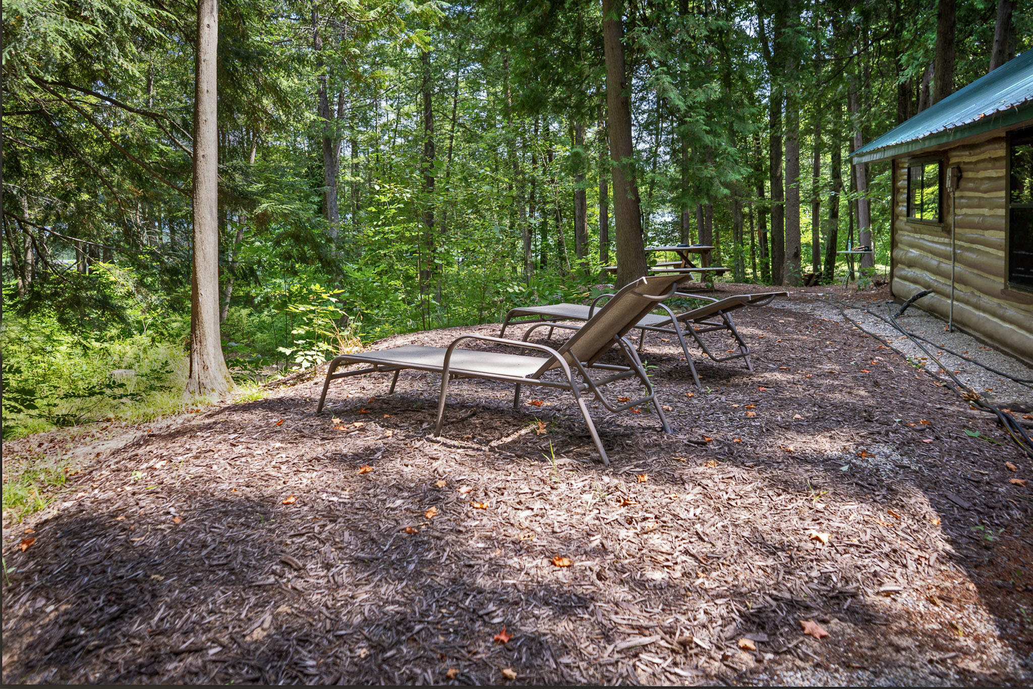 4185 North Taylor Road Branch, MI 49402 - Photo 18 of 56 29-cabin_ex_004