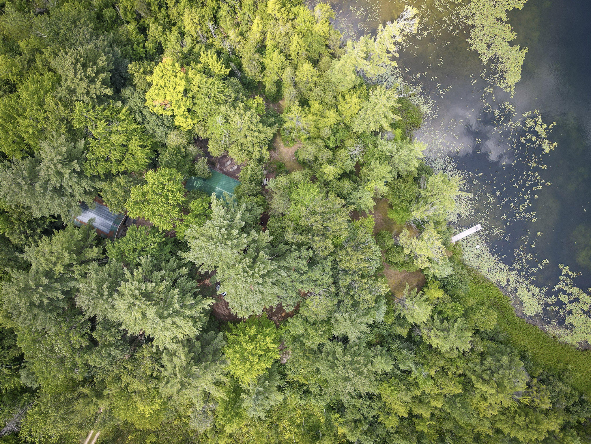 4185 North Taylor Road Branch, MI 49402 - Photo 20 of 56 1-Lake_009