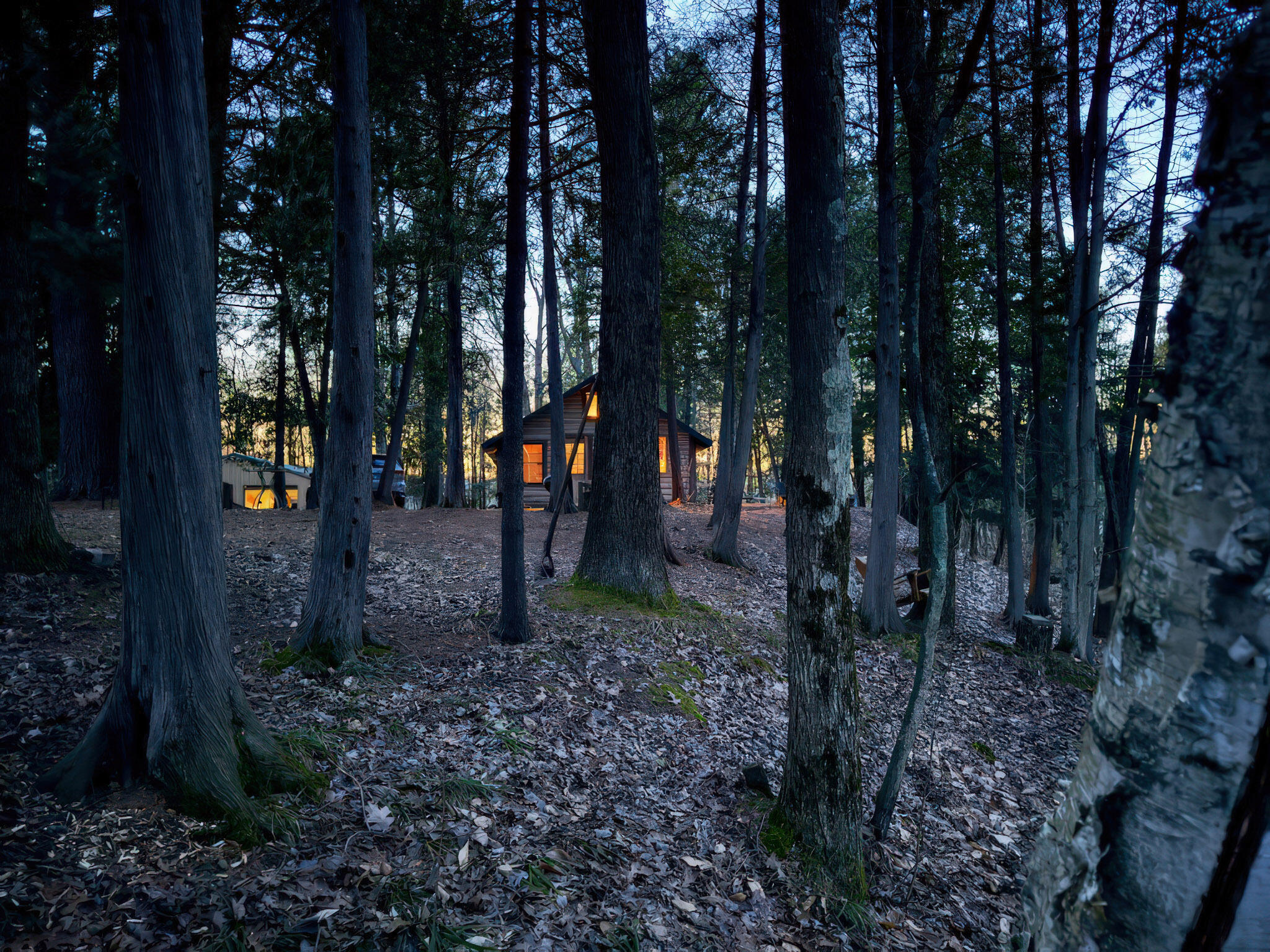 4185 North Taylor Road Branch, MI 49402 - Photo 25 of 56 27-Cabin_ex_006