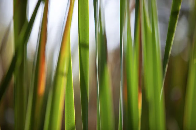 $739,000 | 4185 North Taylor Road, Branch, MI 49402