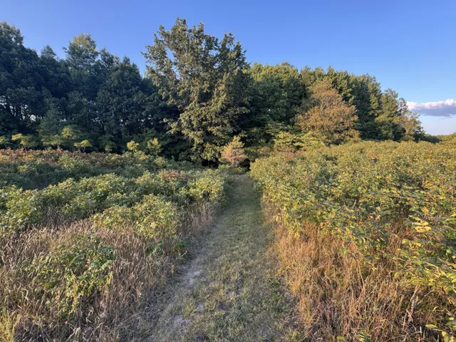 $739,000 | 4185 North Taylor Road, Branch, MI 49402