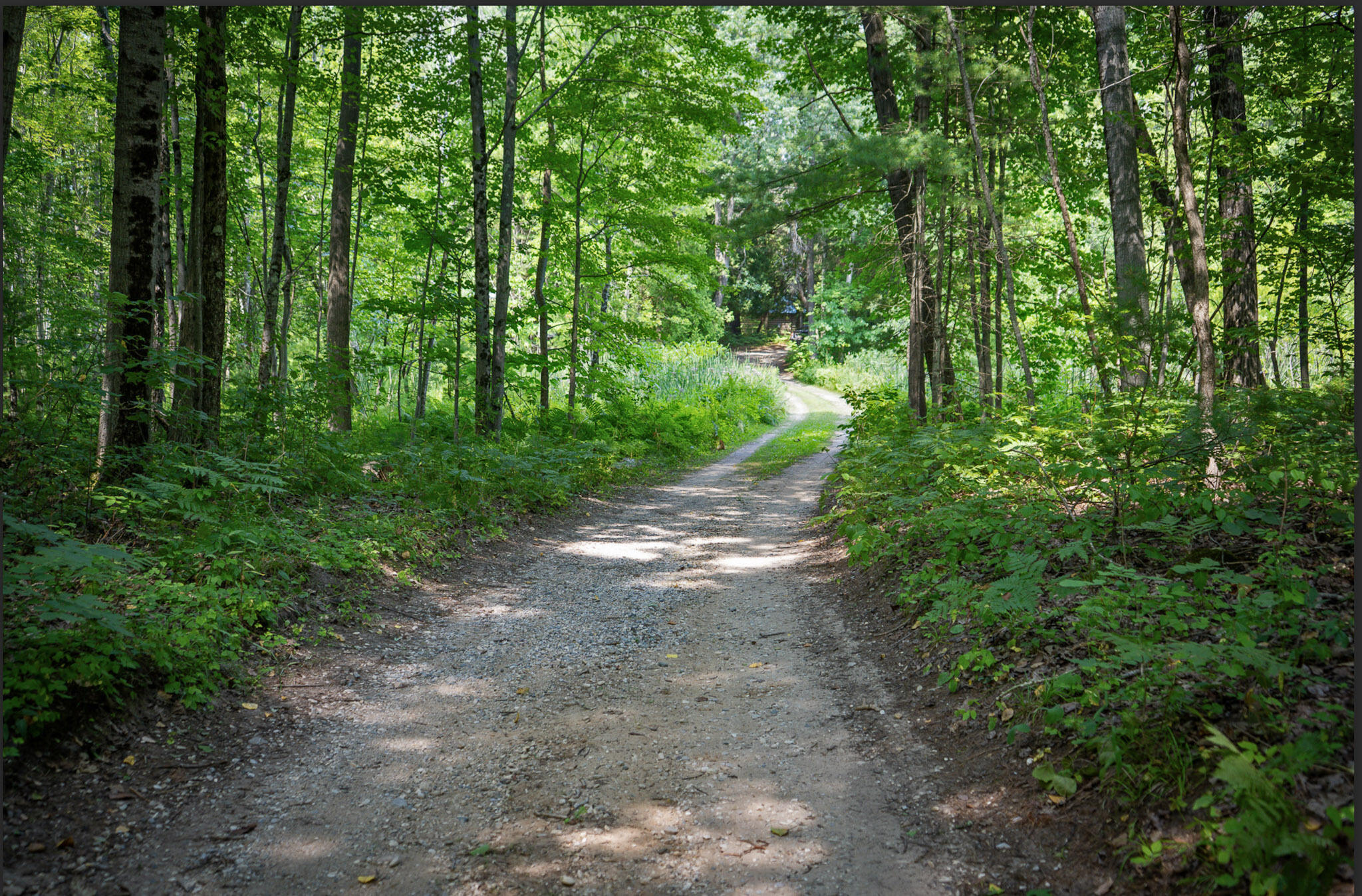 4185 North Taylor Road Branch, MI 49402 - Photo 28 of 56 26-drive_001