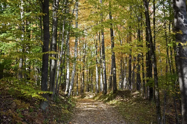 $739,000 | 4185 North Taylor Road, Branch, MI 49402