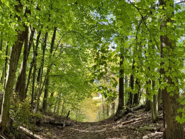 $739,000 | 4185 North Taylor Road, Branch, MI 49402