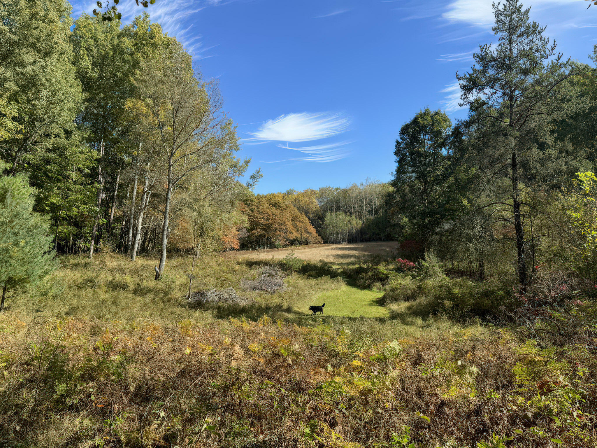 4185 North Taylor Road Branch, MI 49402 - Photo 33 of 56 17-Field_002