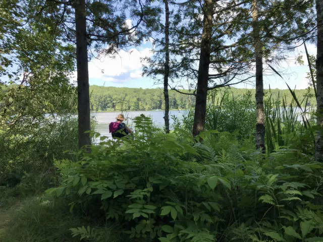 $739,000 | 4185 North Taylor Road, Branch, MI 49402